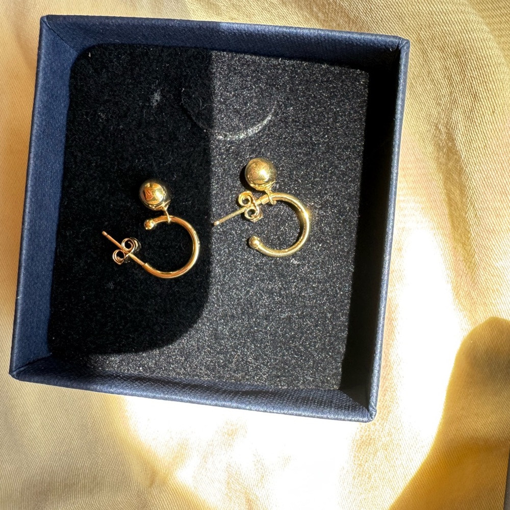 Cape Cod Hoop Earrings